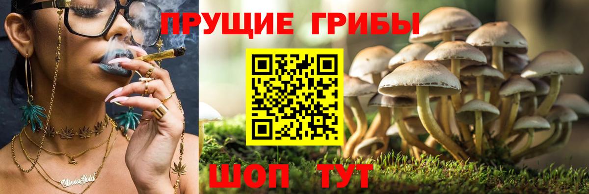 Псилоцибиновые грибы GOLDEN TEACHER  Вход с VPN  Шелехов 