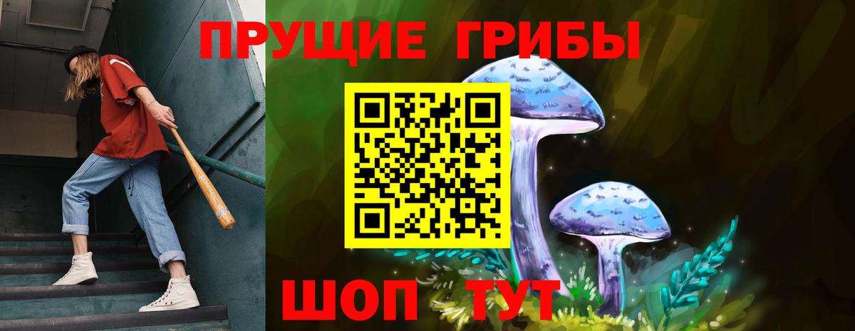 Псилоцибиновые грибы прущие грибы Шелехов